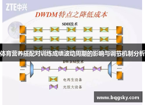体育营养搭配对训练成绩波动周期的影响与调节机制分析